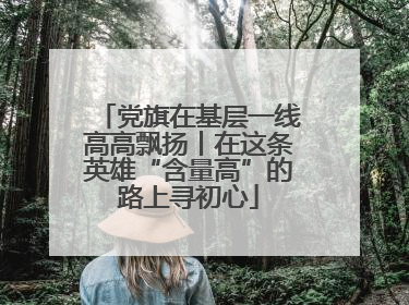 党旗在基层一线高高飘扬丨在这条英雄“含量高”的路上寻初心